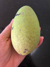 Load image into Gallery viewer, Mango | Cat Chu
