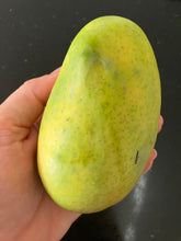 Load image into Gallery viewer, Mango | Lemon Zest
