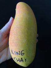 Load image into Gallery viewer, Dwarf Mango | King Thai
