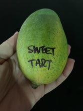 Load image into Gallery viewer, Mango | Sweet Tart
