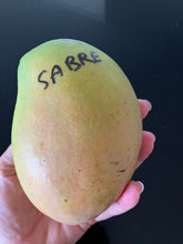 Load image into Gallery viewer, Mango | Sabre
