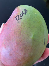 Load image into Gallery viewer, Mango | Rosa
