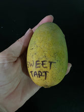 Load image into Gallery viewer, Mango | Sweet Tart
