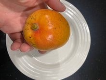 Load image into Gallery viewer, Mango | Fruit Punch
