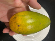 Load image into Gallery viewer, Mango | Haden

