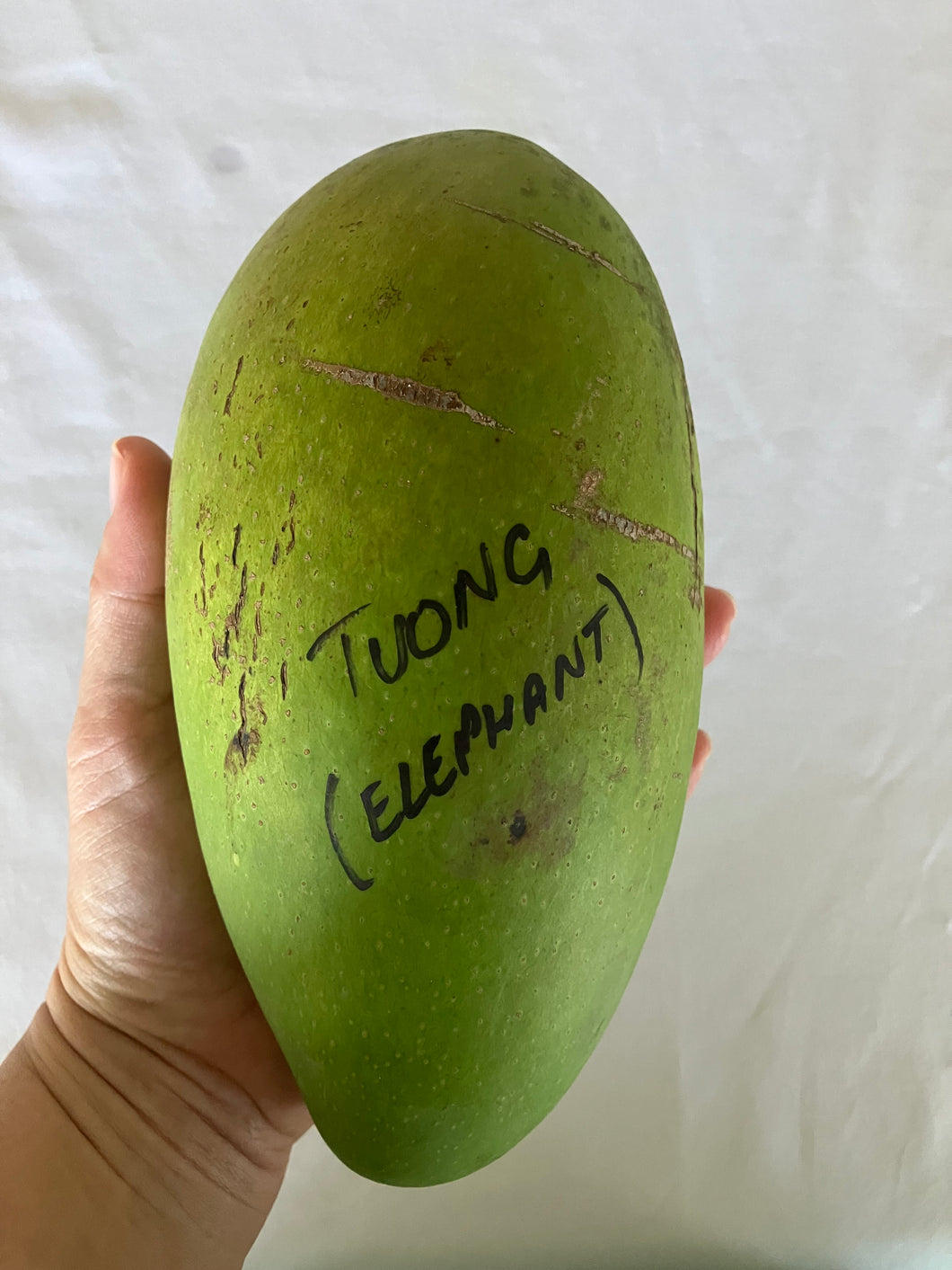 Mango | Tuong