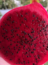 Load image into Gallery viewer, Dragon Fruit | Red
