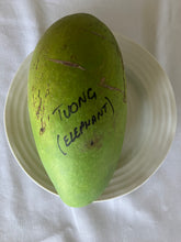 Load image into Gallery viewer, Mango | Tuong
