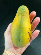 Load image into Gallery viewer, Mango | Tong Dum
