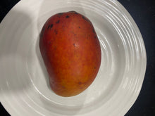Load image into Gallery viewer, Dwarf Mango | Alison Red
