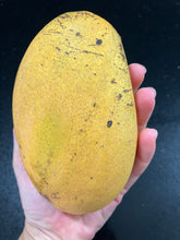 Load image into Gallery viewer, Mango | Mallika
