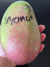 Load image into Gallery viewer, Mango | Spychala
