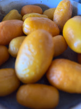 Load image into Gallery viewer, Australian Sunrise Lime | Finger Lime Hybrid

