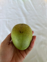 Load image into Gallery viewer, Mango | Bali Apple
