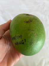Load image into Gallery viewer, Mango | Harum Wangi
