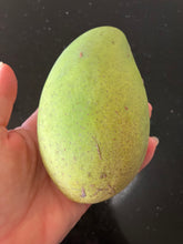 Load image into Gallery viewer, Mango | Cat Chu
