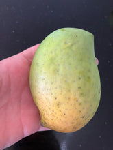 Load image into Gallery viewer, Mango | Banganapalli
