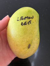 Load image into Gallery viewer, Mango | Lemon Zest
