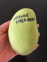 Load image into Gallery viewer, Mango | Orange Sherbet
