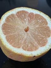Load image into Gallery viewer, Lemon | Variegated Eureka Lemon
