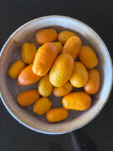 Load image into Gallery viewer, Australian Sunrise Lime | Finger Lime Hybrid
