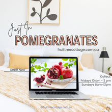 Load image into Gallery viewer, Pomegranate | Ben Hur is
