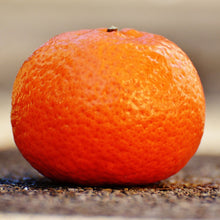 Load image into Gallery viewer, Mandarin | Silverhill Satsuma
