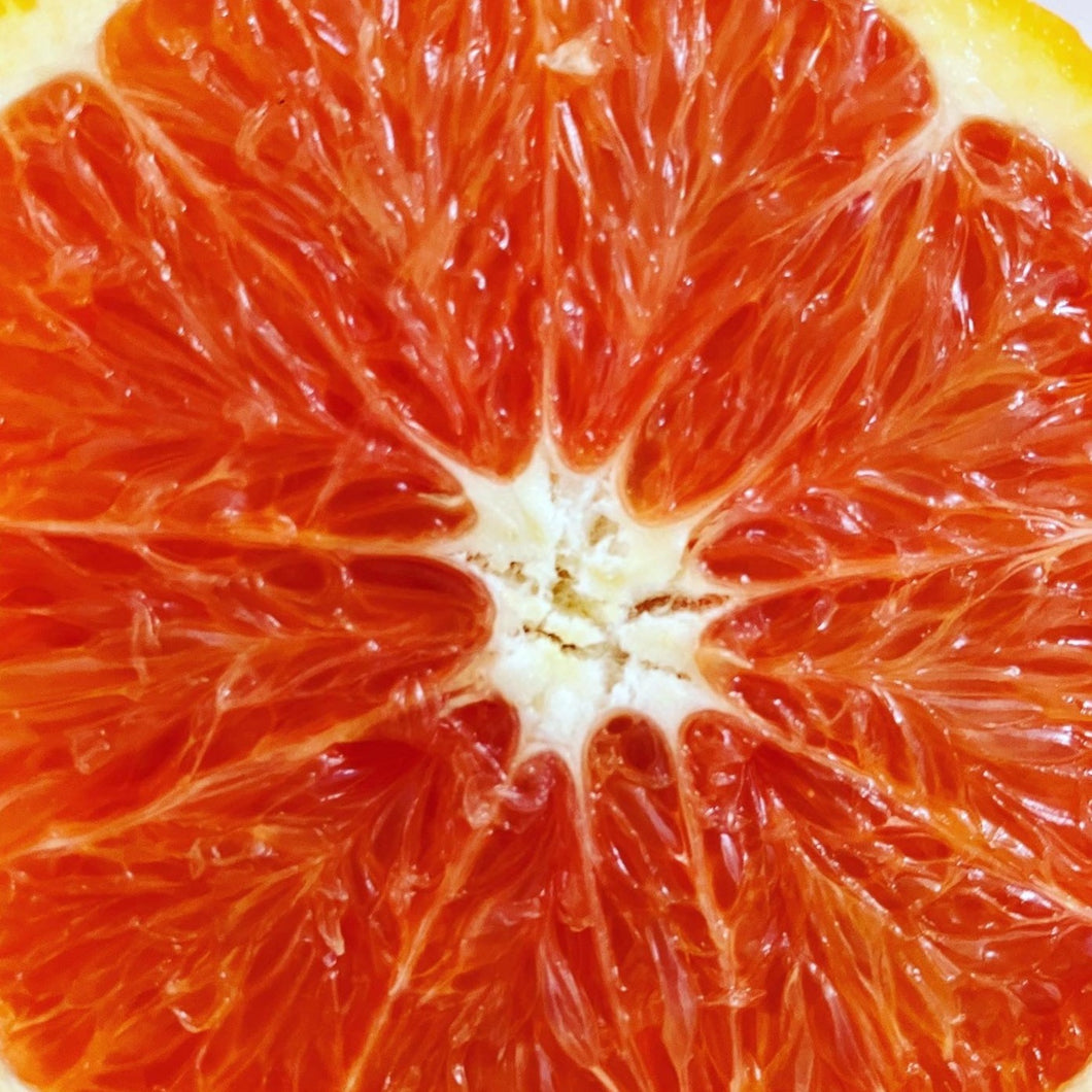 Orange | Cara Cara Blood Navel