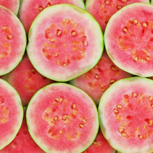 Load image into Gallery viewer, Guava | Hawaiian Pink
