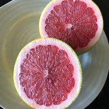 Load image into Gallery viewer, Grapefruit | Star Ruby
