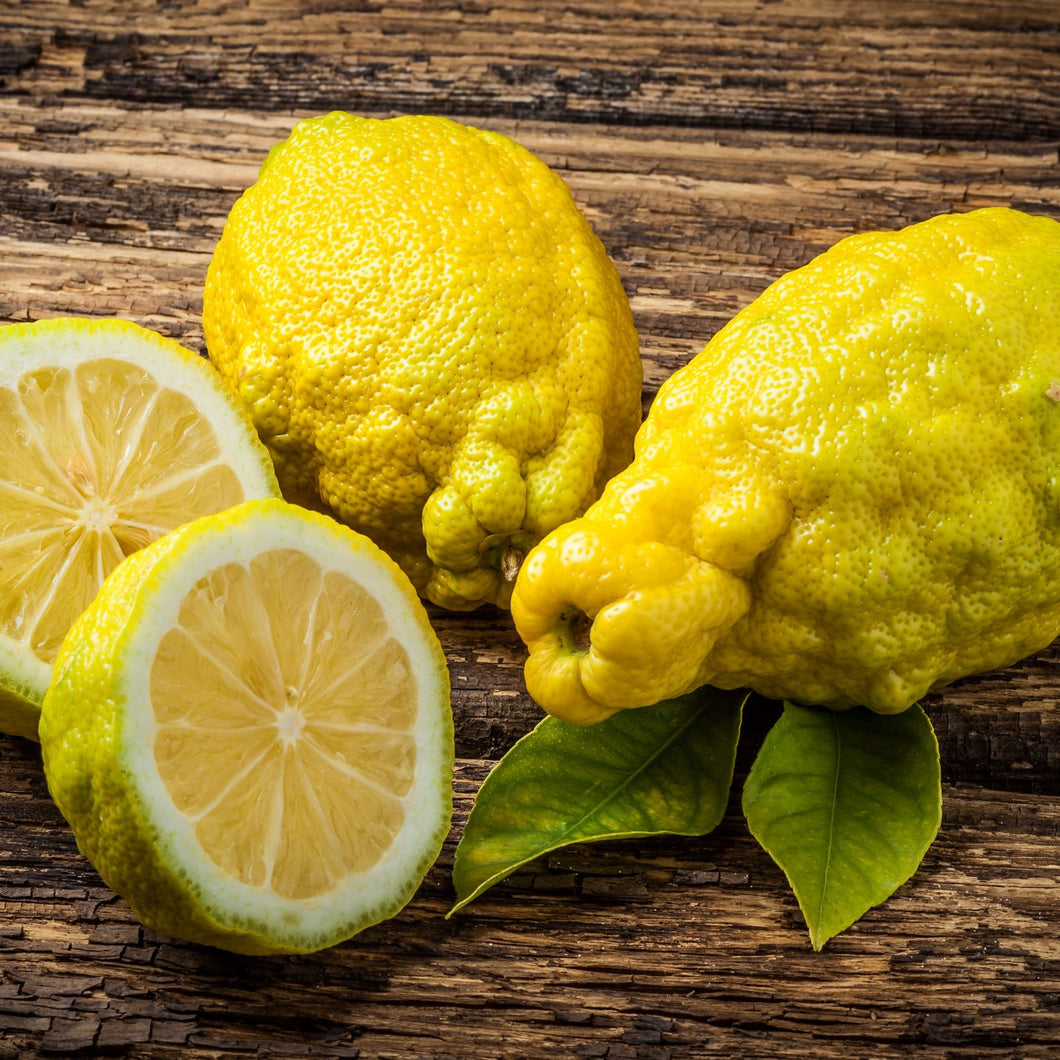 Lemon | Bush Lemon