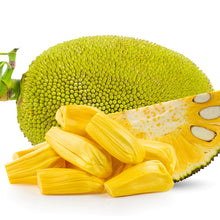 Load image into Gallery viewer, Jackfruit | Galaxy
