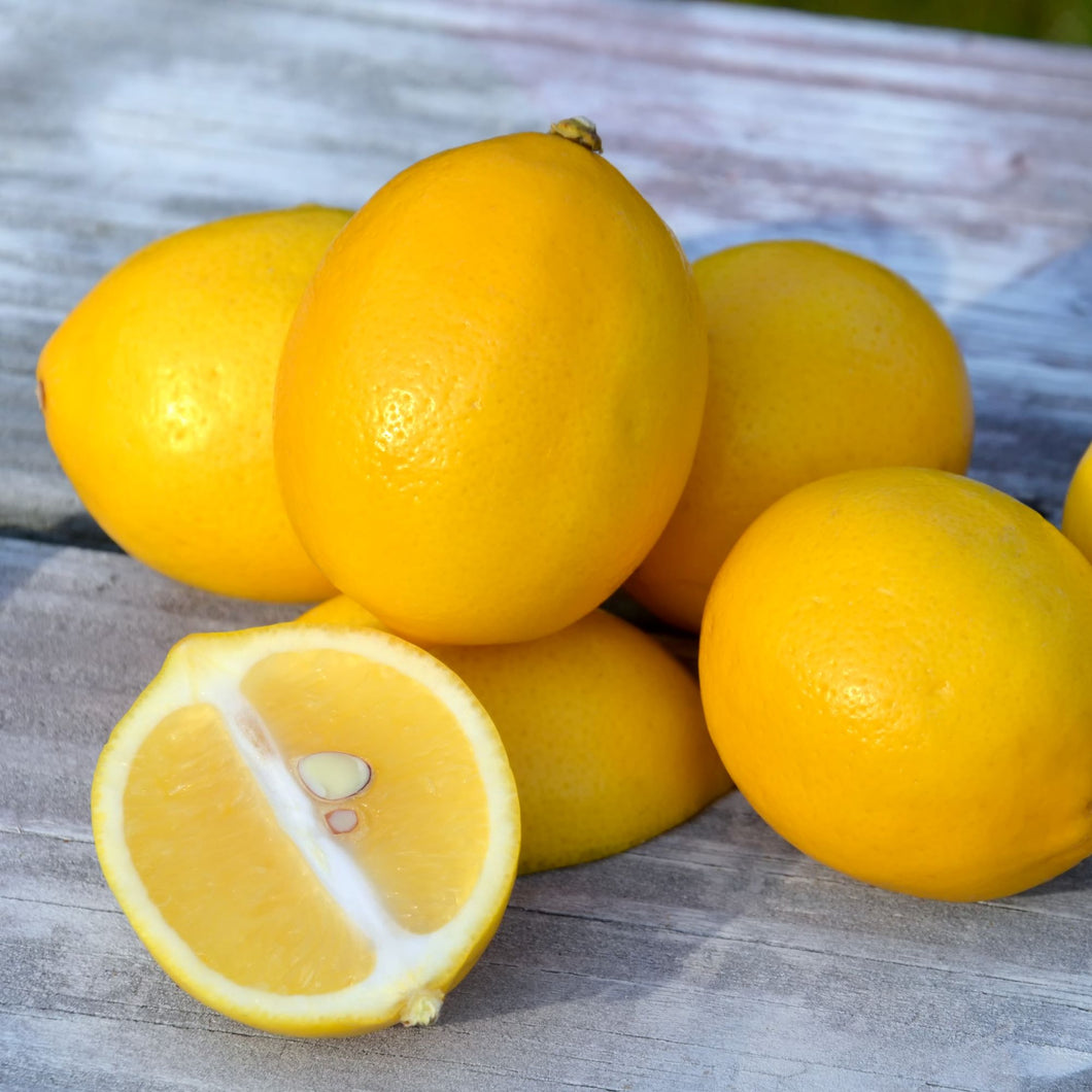 Lemon | Meyer