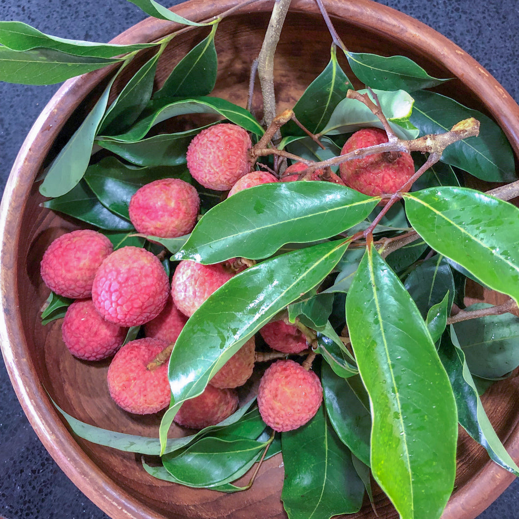 Lychee | Baitaying
