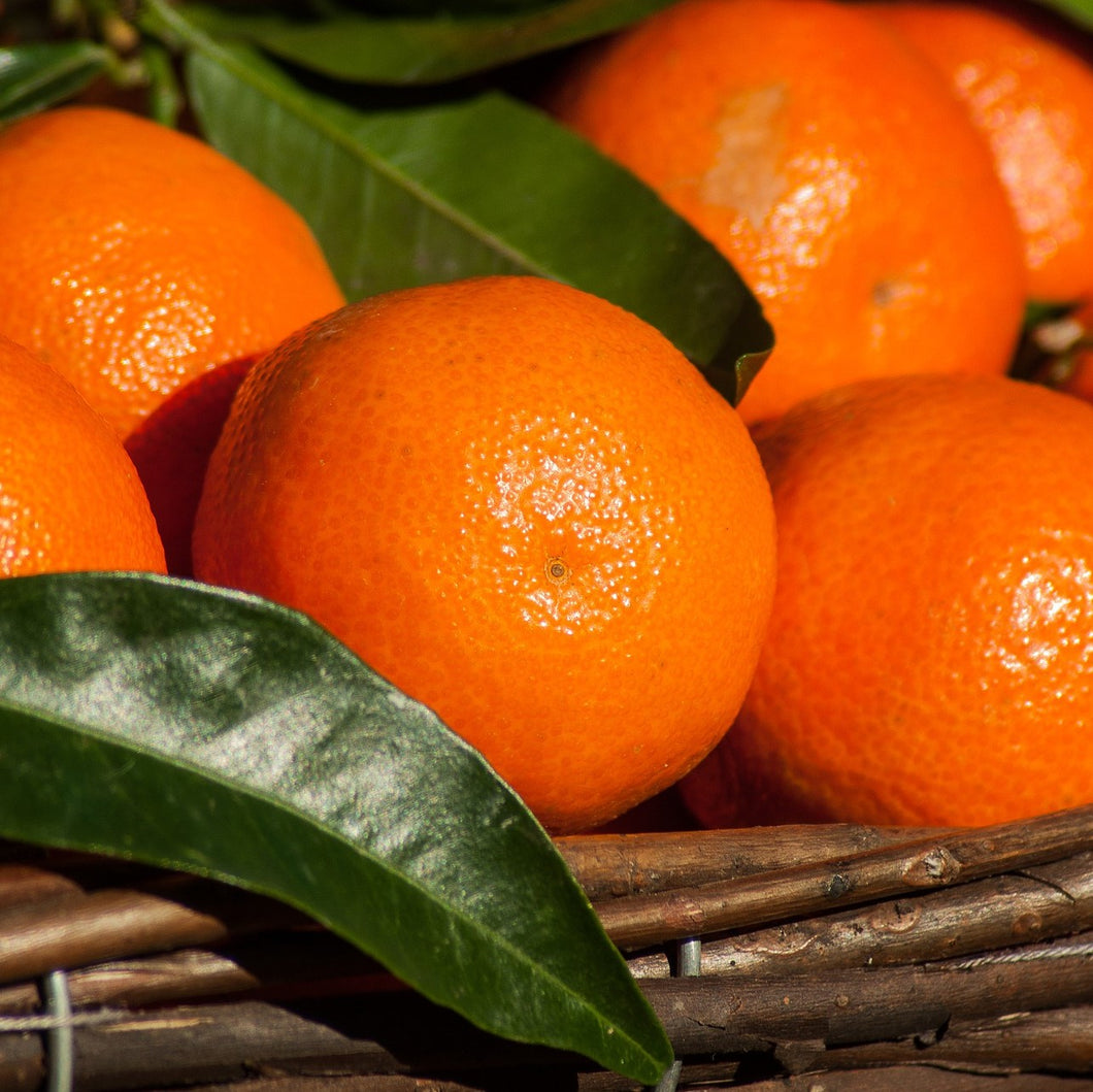 Mandarin | Clementine
