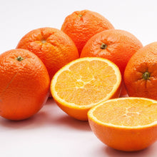 Load image into Gallery viewer, Orange | Navelina (Dwarf)
