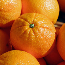 Load image into Gallery viewer, Citrus Bundle | Sweet and Sour Citrus Garden
