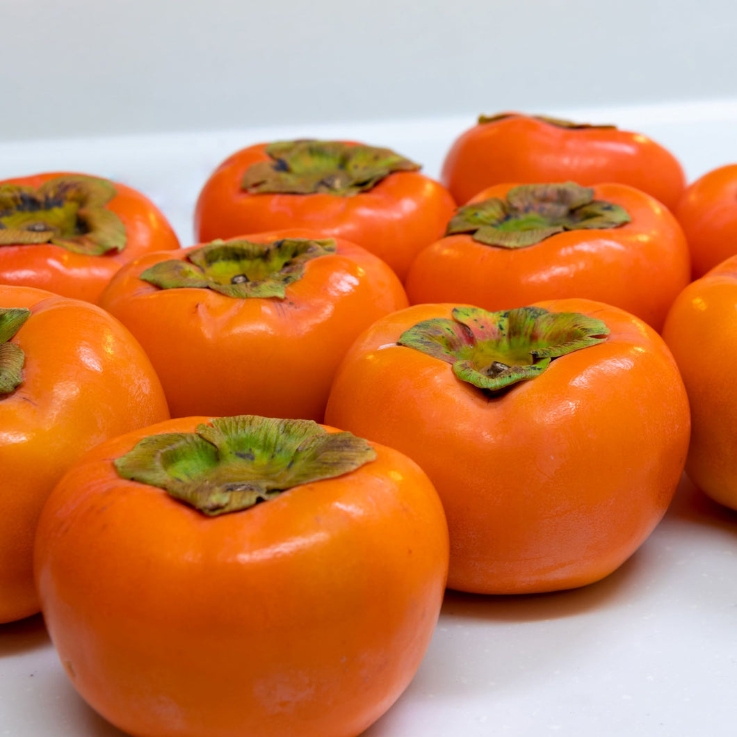 Persimmon | Fuyu