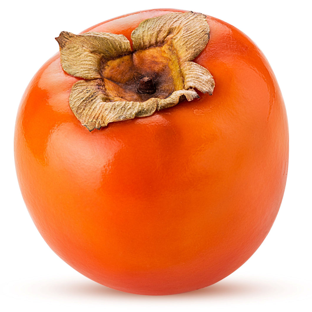 Persimmon | Nightingale