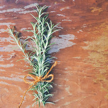 Load image into Gallery viewer, Herb | Rosemary
