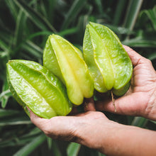 Load image into Gallery viewer, Star Fruit
