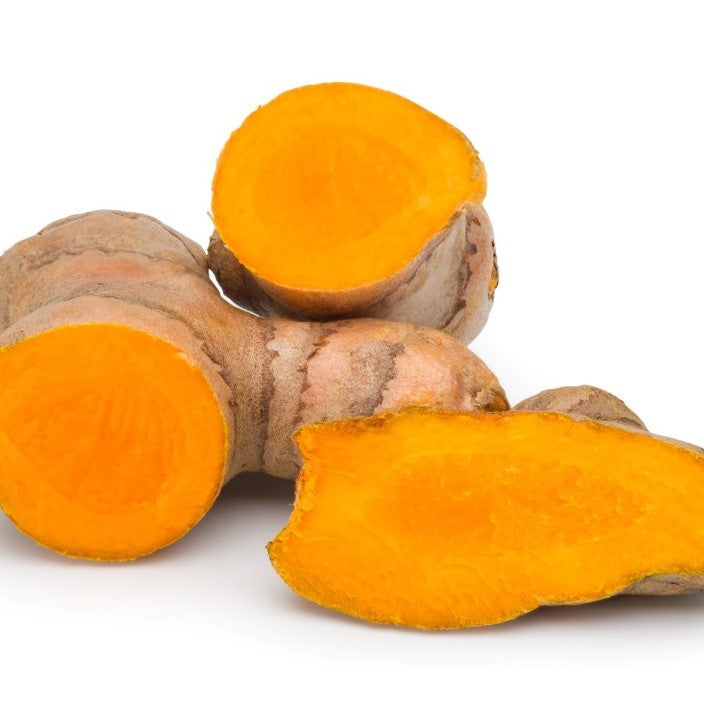 Turmeric | Curcuma Longa