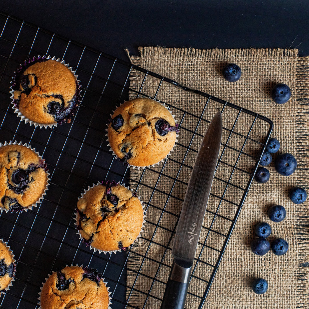 Blueberries | Gulf Coast Blueberry