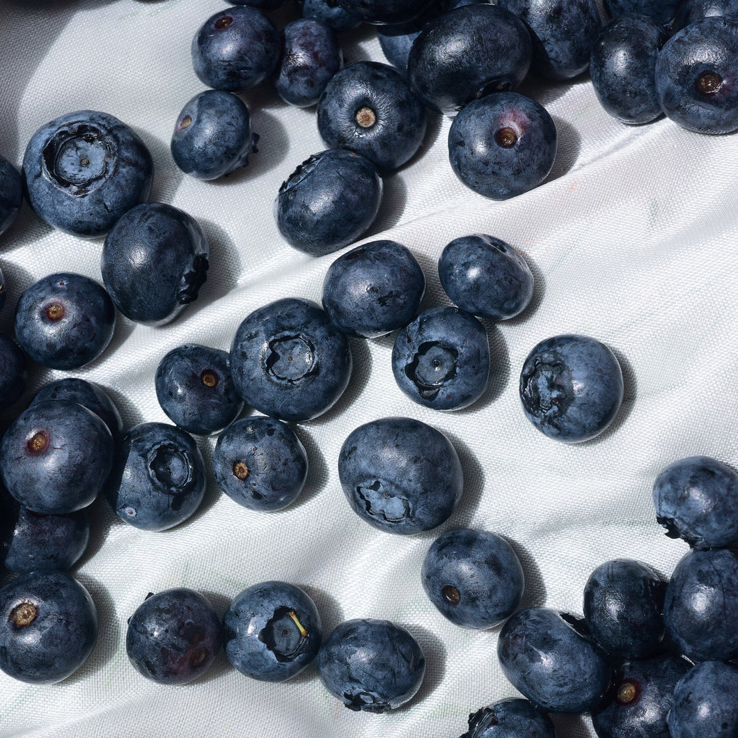 Blueberries | Misty Blueberry