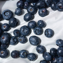 Load image into Gallery viewer, Blueberries | Gulf Coast Blueberry
