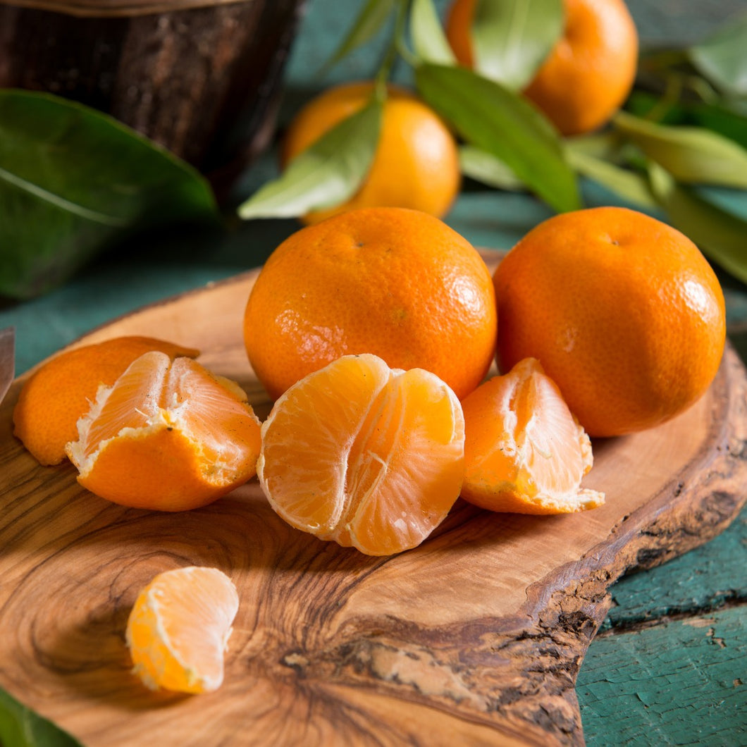 Mandarin | Fremont