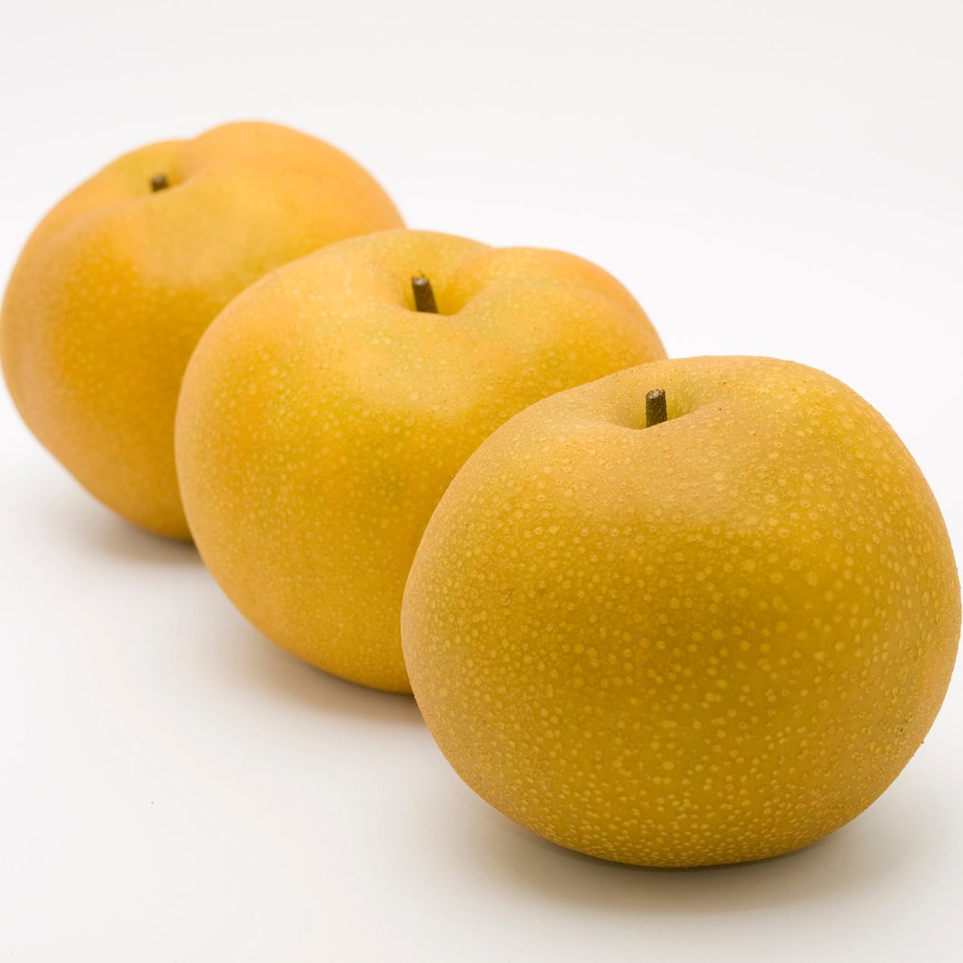 Nashi Pear | Country Wide