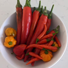 Load image into Gallery viewer, Mixed Chillis (Select Variety at Nursery)
