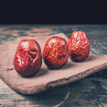 Load image into Gallery viewer, Jujube | Chico Jujuba
