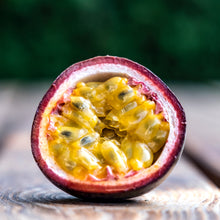 Load image into Gallery viewer, Passionfruit | Flamenco
